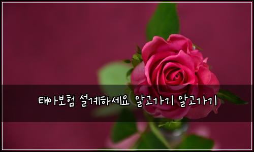 ํ์๋ณดํ ์ค๊ณํ์ธ์ ์๊ณ ๊ฐ๊ธฐ ์๊ณ ๊ฐ๊ธฐ