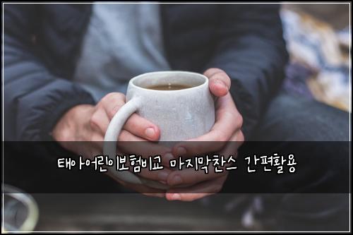 태아어린이보험비교 마지막찬스 간편활용