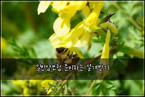 일반암보험 준비하는  설계받기