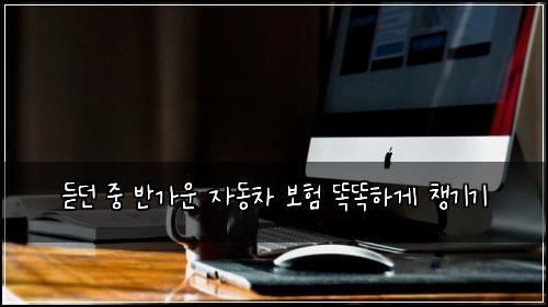 듣던 중 반가운 자동차 보험 똑똑하게 챙기기