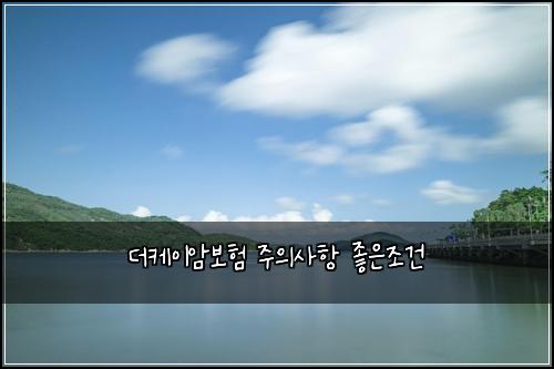 더케이암보험 주의사항  좋은조건