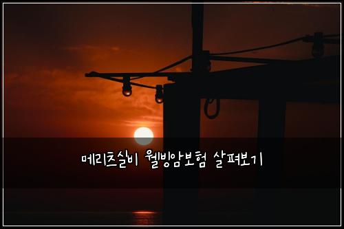 메리츠실비 웰빙암보험 살펴보기