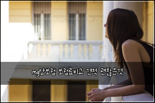 mg์๋ณดํ ๋ณดํ๋ฃ๋น๊ต ๊ฒฌ์ ๊ด์ฐฎ์๊ฒ