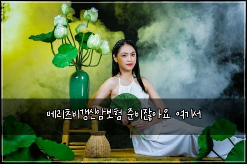 ๋ฉ๋ฆฌ์ธ ๋น๊ฐฑ์ ์๋ณดํ ์ค๋น์์์ ์ฌ๊ธฐ์