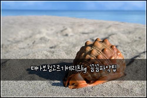 태아보험고르기메리츠lig 꼼꼼파악팁