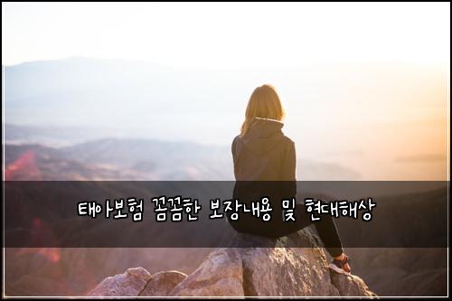 태아보험 꼼꼼한  보장내용 및 현대해상