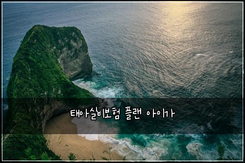 ํ์์ค๋น๋ณดํ ํ๋ ์์ด๊ฐ