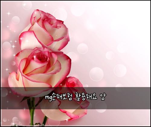 mg์ํด๋ณดํ ํ์ฉํด์ ์