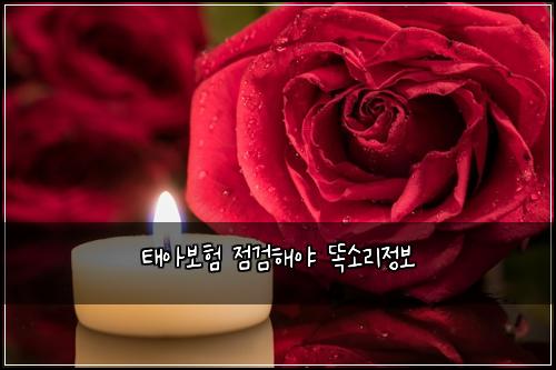 ํ์๋ณดํ ์ ๊ฒํด์ผ ๋์๋ฆฌ์ ๋ณด