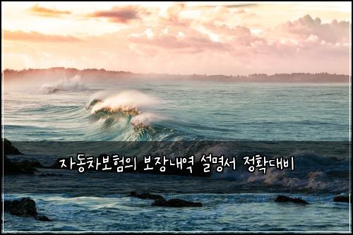 μλ차보νμ 보μ₯λ΄μ μ€λͺ
μ μ νλλΉ