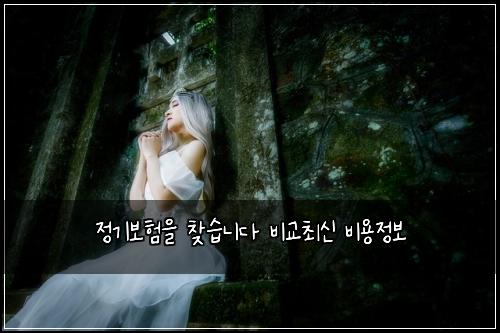 μ 기보νμ μ°Ύμ΅λλ€ λΉκ΅μ΅μ λΉμ©μ 보