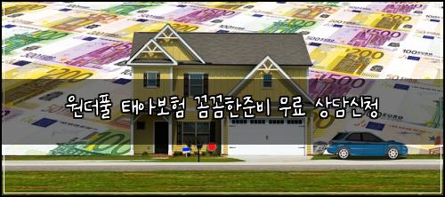 원더풀 태아보험 꼼꼼한준비  무료 상담신청