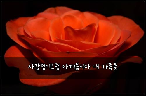 ์ฌ๋ง์ ๊ธฐ๋ณดํ ์๊ปด๋ด
์๋ค ๋ด ๊ฐ์กฑ์