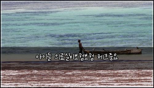 ์์ด๋ค ์๋ฃ์ค๋น๋ณดํ๋ณดํ ์ฒดํฌ์ค์
