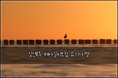 ์์ 8์ฃผ ํ์์ค๋น๋ณดํ ์๊ธฐ๊ฐ์งฑ