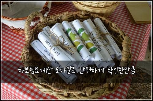 차보νλ£κ³μ° λͺ¨λ°μΌλ‘ κ°νΈνκ² νμΈνλ§νΌ