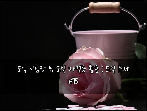 토익 시험장 팁 토익 자격증 활용 : 토익 문제 #75