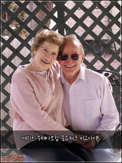 메리츠 주태아보험 중요체크  비교사이트