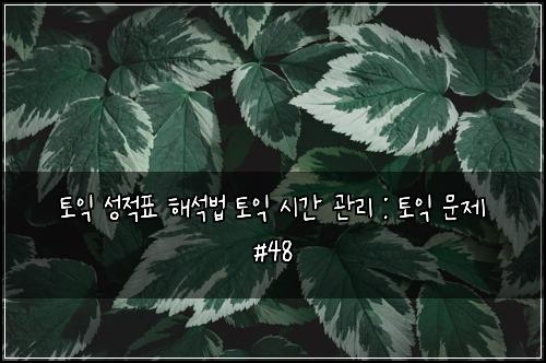 토익 성적표 해석법 토익 시간 관리 : 토익 문제 #48