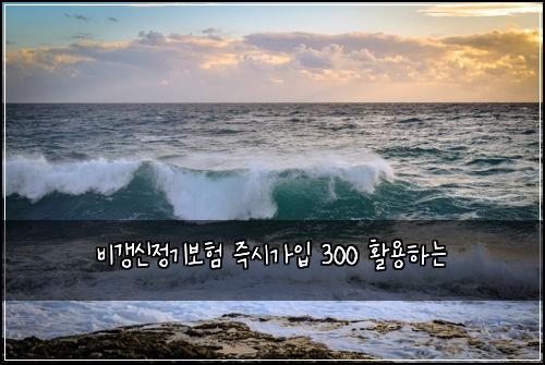 비갱신정기보험 즉시가입  300 활용하는