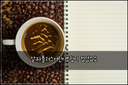 알파플러스어린이보험이 점검요소