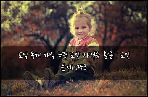 토익 독해 해석 능력 토익 자격증 활용 : 토익 문제 #43