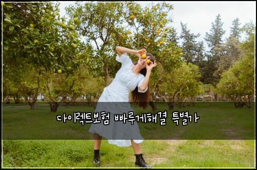 다이렉트보험 빠루게해결  특별가