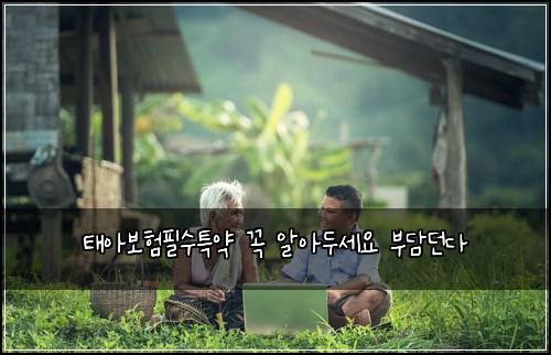 태아보험필수특약 꼭 알아두세요 부담던다