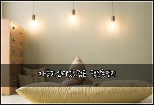 자동차인터넷보험료 핵심총정리