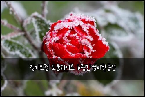 정기보험 도움되어요  b형간염비활동성