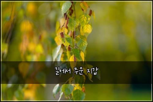 길에서 주운 지갑