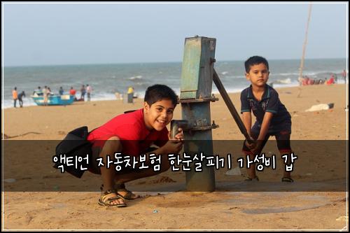 액티언 자동차보험 한눈살피기  가성비 갑