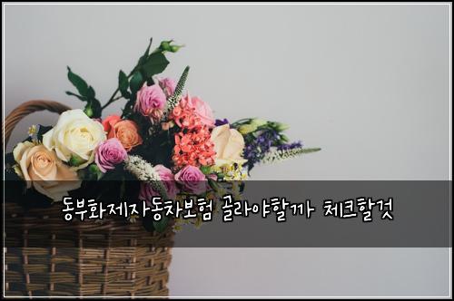 동부화제자동차보험 골라야할까  체크할것
