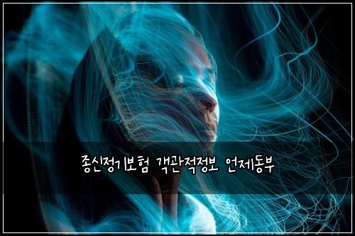 종신정기보험 객관적정보  언제동부