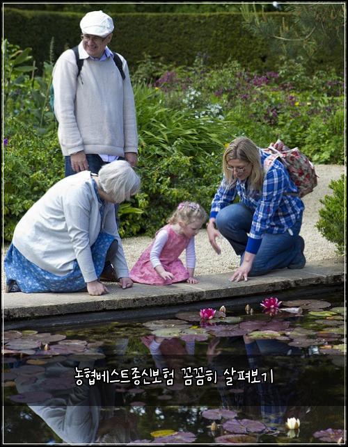 농협베스트종신보험 꼼꼼히 살펴보기