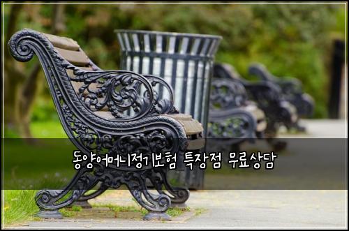 ๋์์ด๋จธ๋์ ๊ธฐ๋ณดํ ํน์ฅ์ ๋ฌด๋ฃ์๋ด