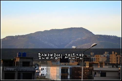 종신암보험의 고민은그만