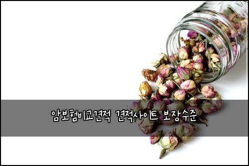 μ보νλΉκ΅κ²¬μ 견μ μ¬μ΄νΈ 보μ₯μμ€