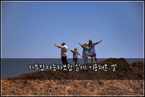 카투잡자동차보험 실제 이용해본 썰