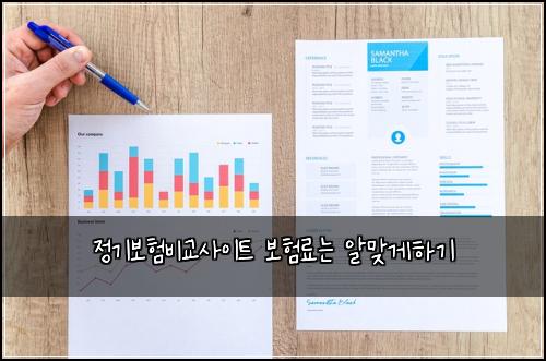 정기보험비교사이트 보험료는 알맞게하기