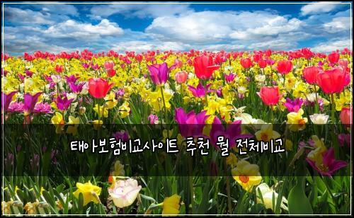 태아보험비교사이트 추천 뭘 전체비교