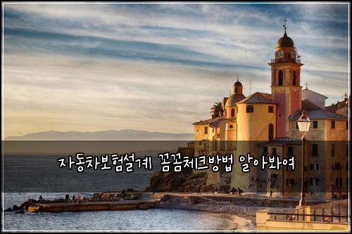 자동차보험설계 꼼꼼체크방법 알아봐여