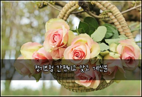 정기보험 간편비교  갖고 계신분