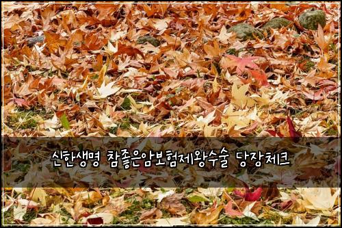 신한생명 참좋은암보험제왕수술 당장체크