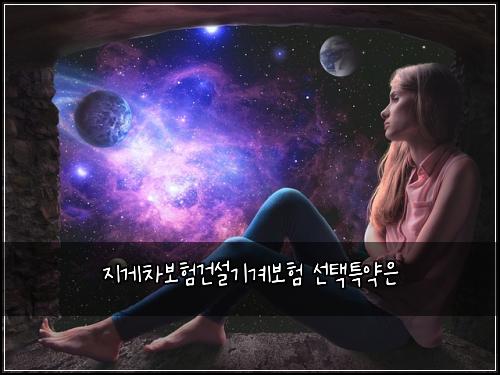 ์ง๊ฒ์ฐจ๋ณดํ๊ฑด์ค๊ธฐ๊ณ๋ณดํ ์ ํํน์ฝ์
