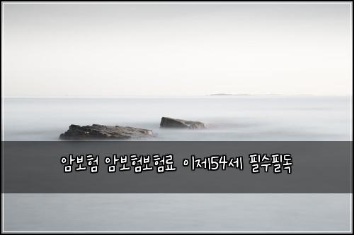 암보험 암보험보험료 이제54세 필수필독