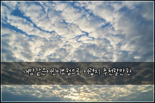 ๋ด๋ง๊ฐ์์ด๋ฆฐ์ด๋ณดํ์ผ๋ก ์ด๋ ต์ง ์ถ์ฒํ ๋งํ