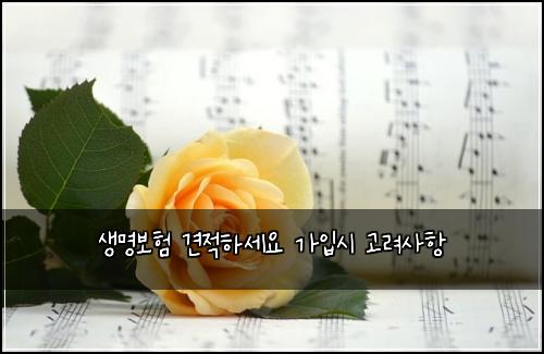 ์๋ช
๋ณดํ ๊ฒฌ์ ํ์ธ์ ๊ฐ์
์ ๊ณ ๋ ค์ฌํญ