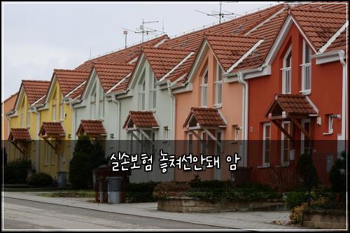실손보험 놓쳐선안돼  암