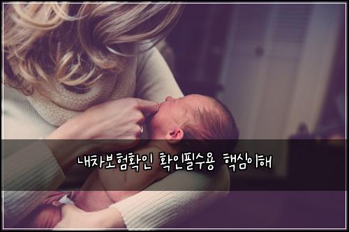 내차보험확인 확인필수용 핵심이해